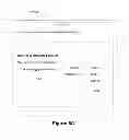 Fig. 08 - Managing multiple logins from a single browser