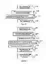 Fig. 05 - Method for managing public and private data input at a device