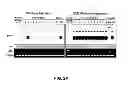 Fig. 03 - Production and use of rat spermatogonial stem cell lines