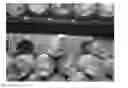 Fig. 01 - Strain of 