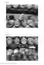Fig. 02 - Strain of 