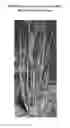 Fig. 01 - Pedilanthus plant named Chilly Willy