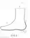 Fig. 07 - FUNCTIONAL SOCKS