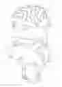 Fig. 01 - PROTECTIVE HELMET AND SUPPORT PORTION FOR SAID PROTECTIVE HELMET