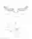 Fig. 06 - Swimming goggles
