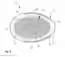 Fig. 06 - Baby bath-support device