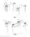 Fig. 09 - Seating unit convertible to bed