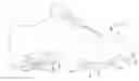 Fig. 01 - Cleat for footwear