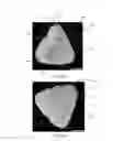 Fig. 09 - Abrasive particles having particular shapes and methods of forming such particles