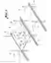 Fig. 02 - Framing structure