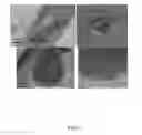 Fig. 03 - Alkali metal ion source with moderate rate of ion release and methods of forming