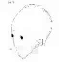 Fig. 04 - Tongue module for robot