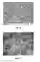 Fig. 06 - Carbide pellets for wear resistant applications