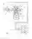 Fig. 01 - Ignition control device for internal combustion engine