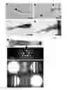Fig. 06 - HIGH-THROUGHPUT CONTINUOUS GAS-PHASE SYNTHESIS OF NANOWIRES WITH TUNABLE PROPERTIES