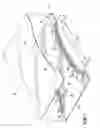 Fig. 02 - Method for applying adhesive on an elastic strand in assembly of a personal disposable hygiene product