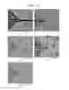 Fig. 04 - Crystalline alloy having glass-forming ability, preparation method thereof, alloy target for sputtering, and preparation method thereof