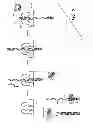 Fig. 06 - Compositions, Devices, Systems, and Methods for Using a Nanopore