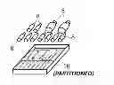 Fig. 01 - MANAGEMENT TRAY UNIT