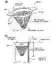 Fig. 01 - OVERFLOW STRAINER