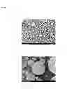 Fig. 02 - Aggregate of radioactive material removing particles and method of producing the same, and method of removing contaminant