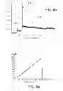 Fig. 05 - Method for enhancing the mechanical strength of an SiC/SiC ceramic matrix composite material