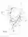Fig. 07 - Weapon sling