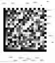 Fig. 01 - Multidimensional color barcode