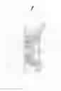 Fig. 06 - Concealed top cover-type shower head