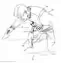 Fig. 01 - CHEST MOUNTED WORKER'S SUPPORT
