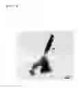 Fig. 08 - Sample supporting member for observing scanning electron microscopic image and method for observing scanning electron microscopic image