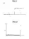Fig. 12 - Radiation image capturing system and radiation image capturing apparatus