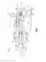 Fig. 08 - Valve with latching return spring