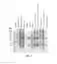 Fig. 04 - COMPOUNDS AND METHODS FOR PURIFICATION OF SERINE PROTEASES