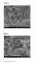 Fig. 02 - METHOD FOR PRODUCING SILVER NANOPARTICLES, SILVER NANOPARTICLES, AND SILVER COATING COMPOSITION