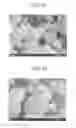 Fig. 02 - Silver-coated copper alloy powder and method for producing same