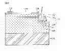 Fig. 01 - Light emitting device and light emitting device package