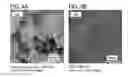 Fig. 05 - Oxide semiconductor film and formation method thereof