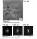 Fig. 07 - Oxide semiconductor film and formation method thereof