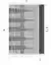 Fig. 05 - Semiconductor device with charge compensation
