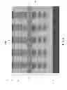 Fig. 09 - Semiconductor device with charge compensation