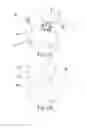 Fig. 07 - METHOD FOR PRODUCING AN ABSORBENT PAPER PRODUCT HAVING VISUAL ELEMENTS