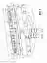 Fig. 04 - Multi-zoned plasma processing electrostatic chuck with improved temperature uniformity
