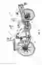 Fig. 03 - Cycle and associated components