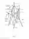 Fig. 33 - FOLDING CHAIR