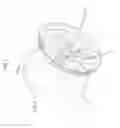 Fig. 02 - Wheel spider