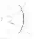 Fig. 09 - Wheel spider