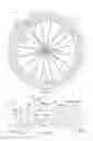 Fig. 02 - Bicycle rim