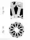 Fig. 16 - Motorized drum shell arrangement