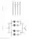 Fig. 09 - Stator winding of electrical rotating machine